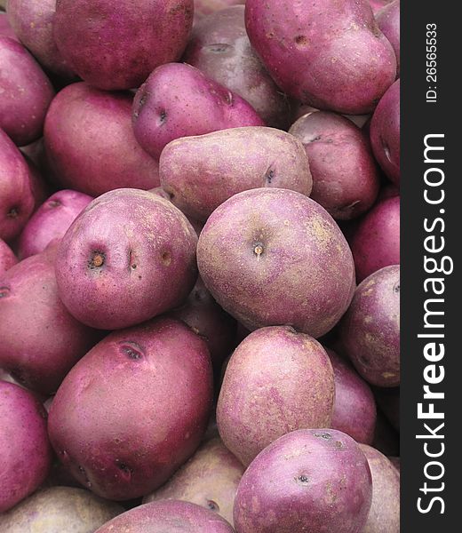 Organic Red Potatoes