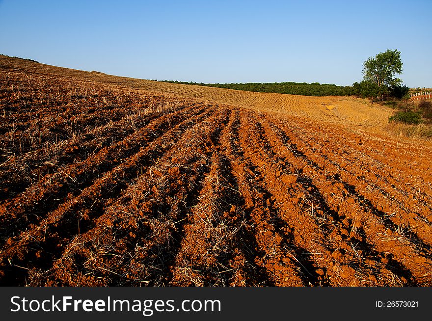 The driving field prepared for planting plowed field background. The driving field prepared for planting plowed field background