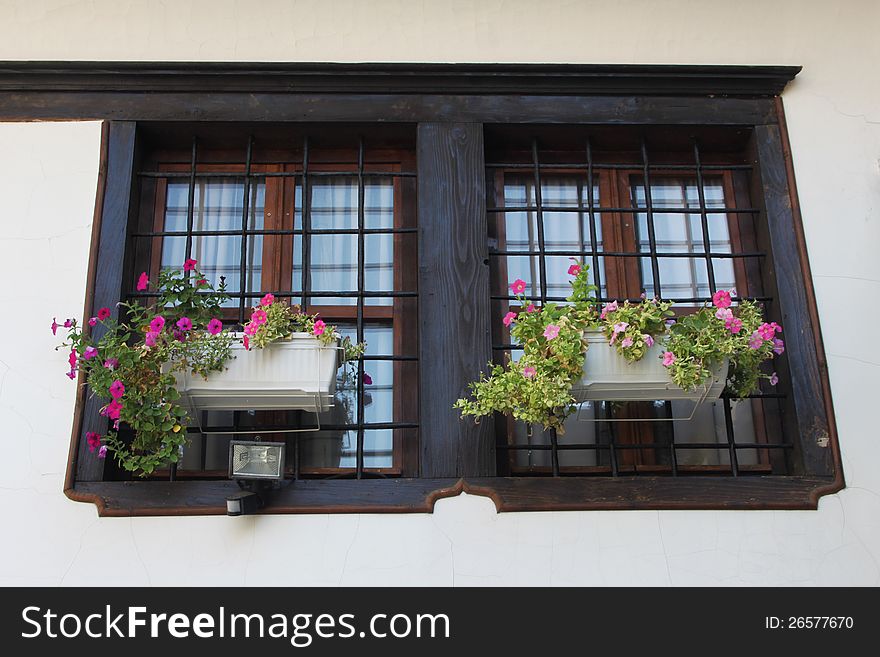 Wooden windows