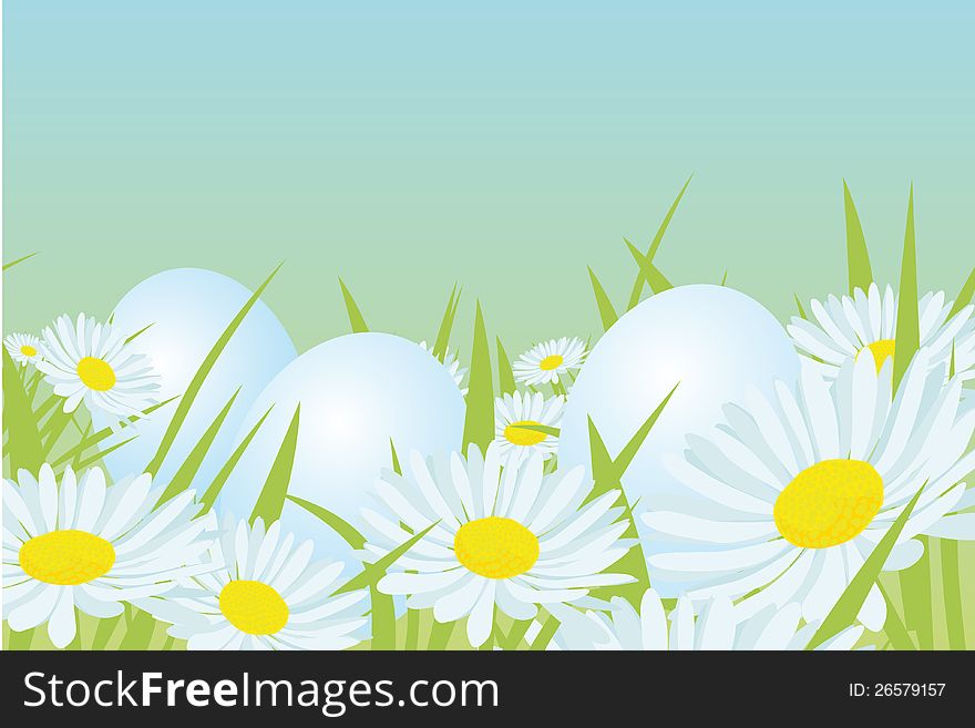 Easter white eggs on the daisy field