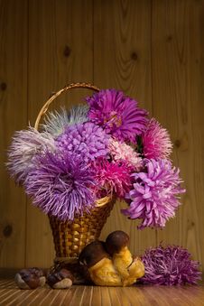 Autumn Still Life Royalty Free Stock Image Autumn Still Life Royalty Free Stock Image