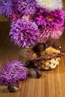 Autumn Still Life Royalty Free Stock Photo Autumn Still Life Royalty Free Stock Photo