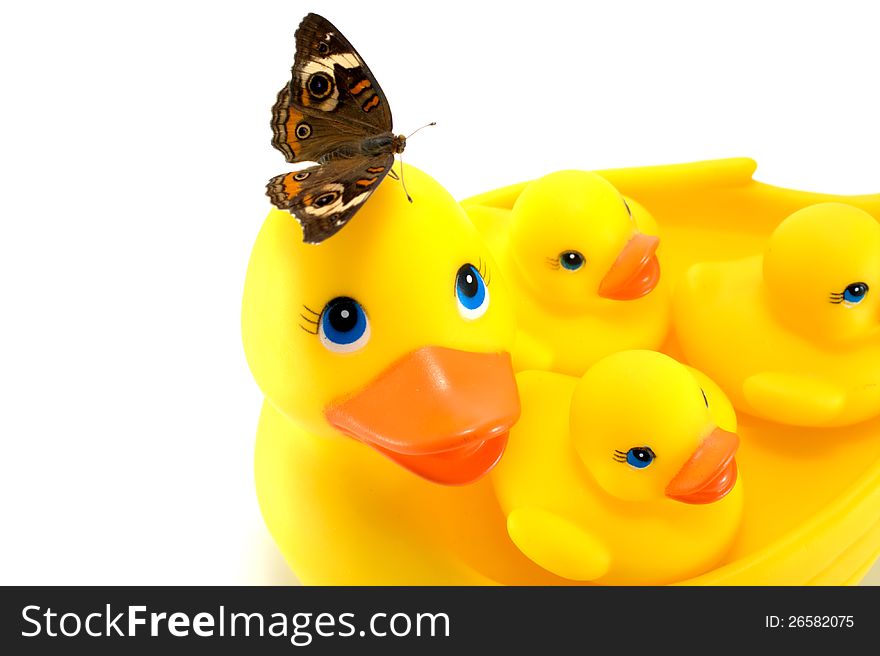 Rubber Ducks with Butterfly