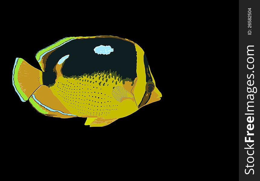 Fourspot Butterflyfish &x28;lau-hau&x29;