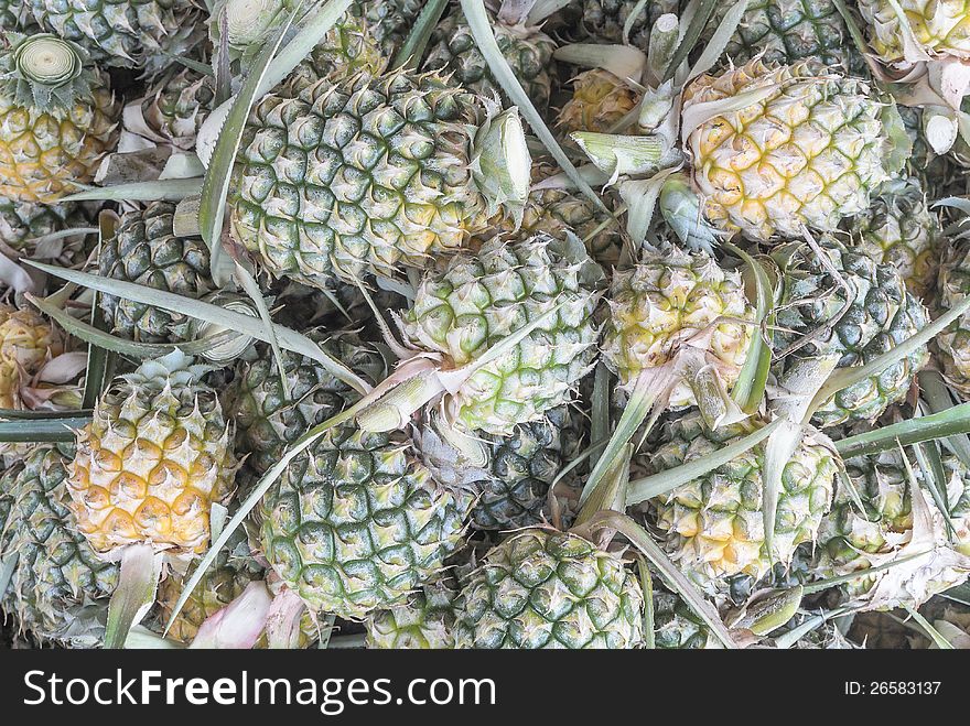 Group Of Fresh Pineapple