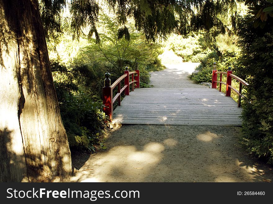 A welcoming pine tree by the path leading to a red bridge and more adventure. A welcoming pine tree by the path leading to a red bridge and more adventure.