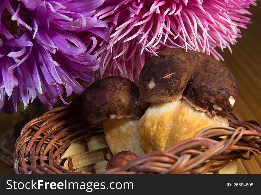 Bouquet of autumn flowers and mushrooms. Bouquet of autumn flowers and mushrooms