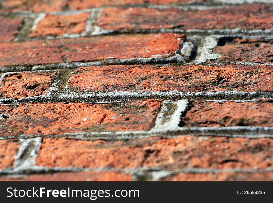Detail of a red brick pathway. Detail of a red brick pathway