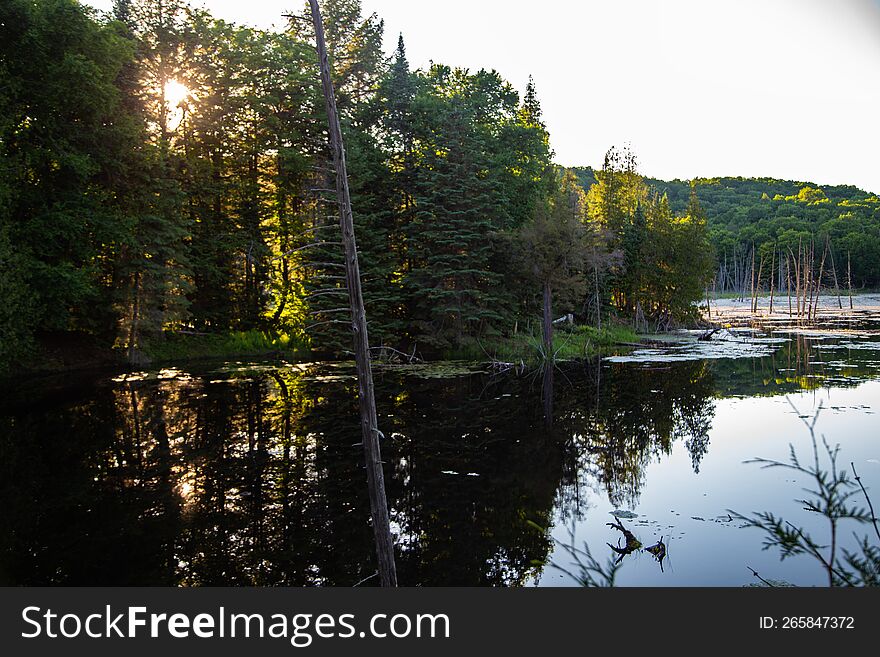 Reflection Of Sun In The Forest Lake