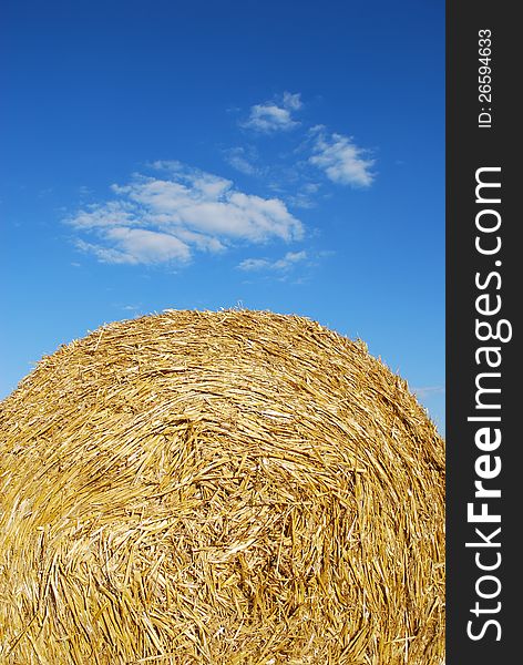 Detail from a bale of straw in harvesting time