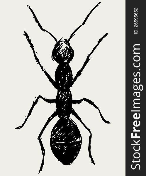 Portrait of ant. Doodle style. Vector