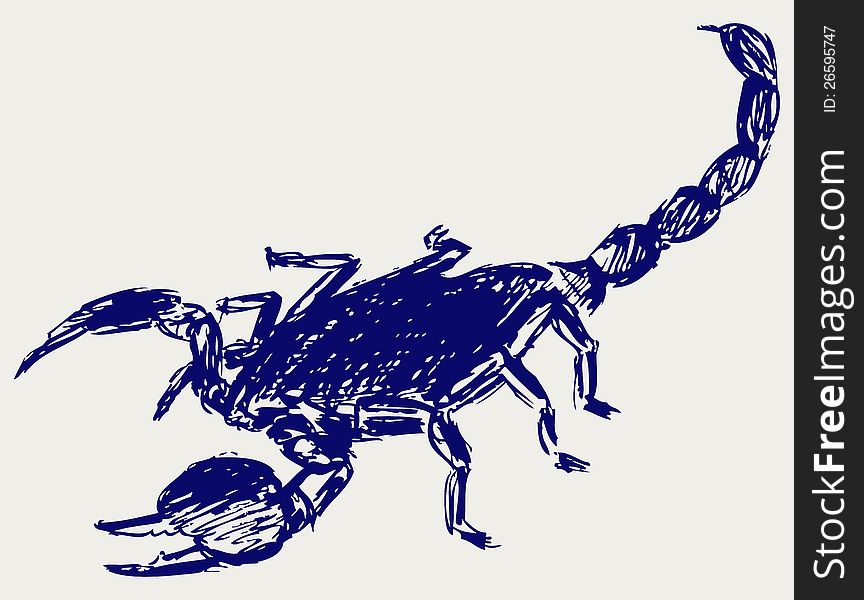 Emperor Scorpion. Doodle style. Vector