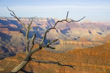 Grand Canyon Stock Photography Grand Canyon Stock Photography