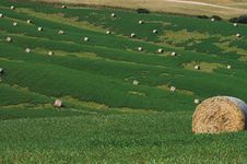Landscape Hay Balls 5 Stock Image Landscape Hay Balls 5 Stock Image