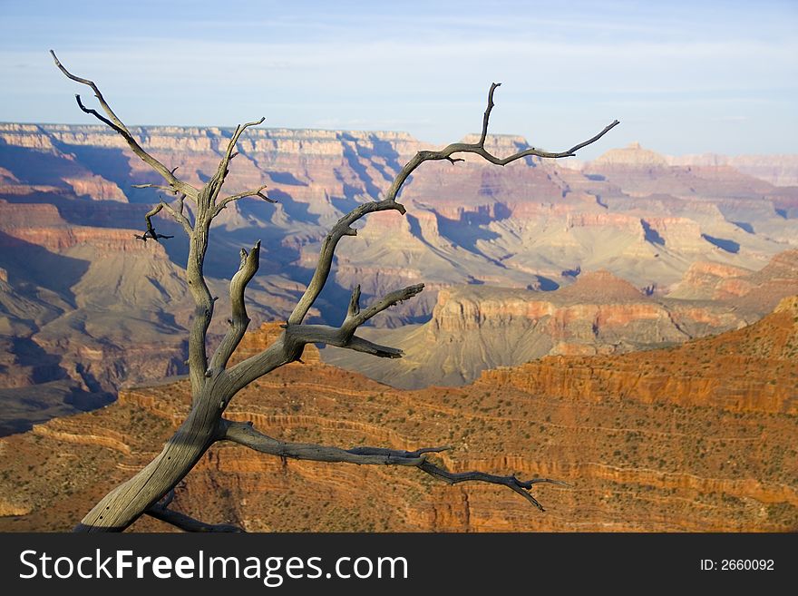 Grand Canyon in Arizone / USA