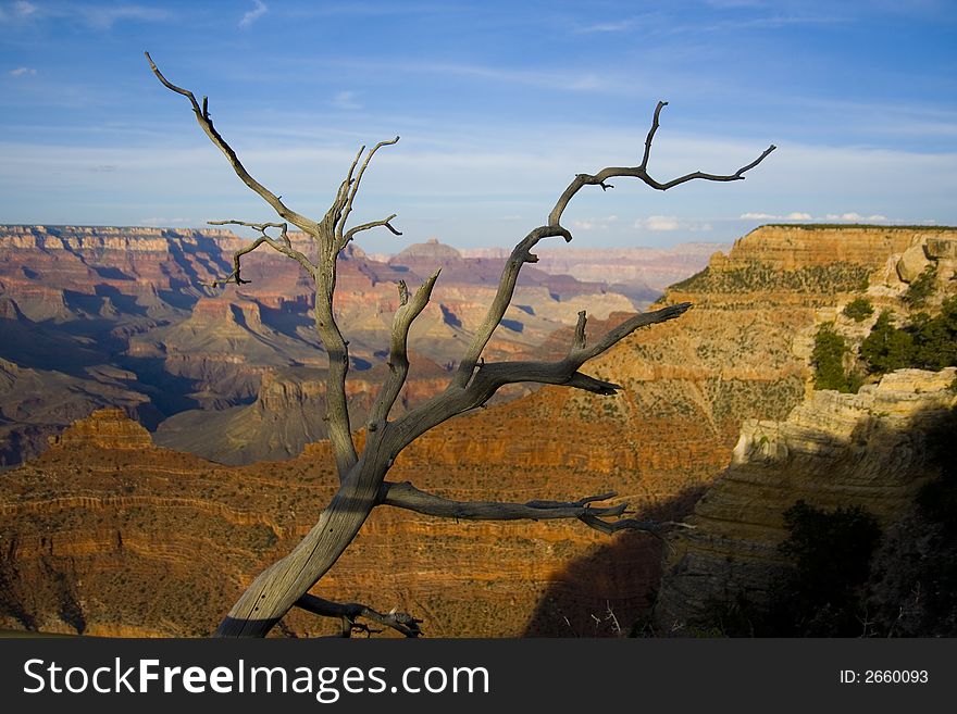 Grand Canyon in Arizone / USA