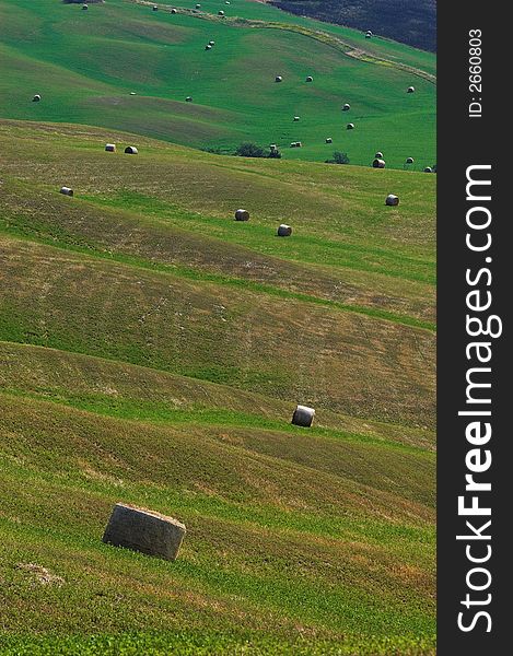 A field of hay balls in Tuscany. A field of hay balls in Tuscany