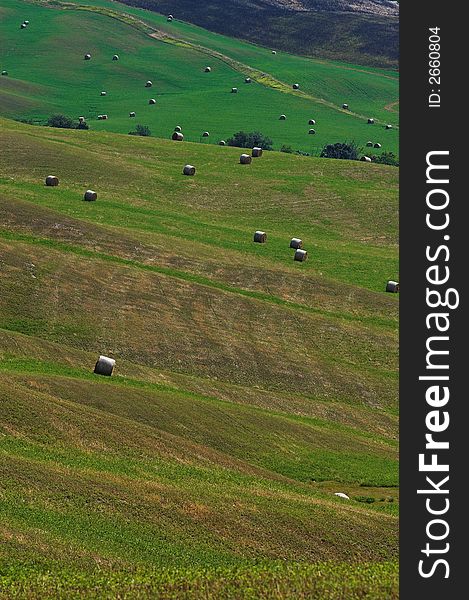 A field of hay balls in Tuscany. A field of hay balls in Tuscany