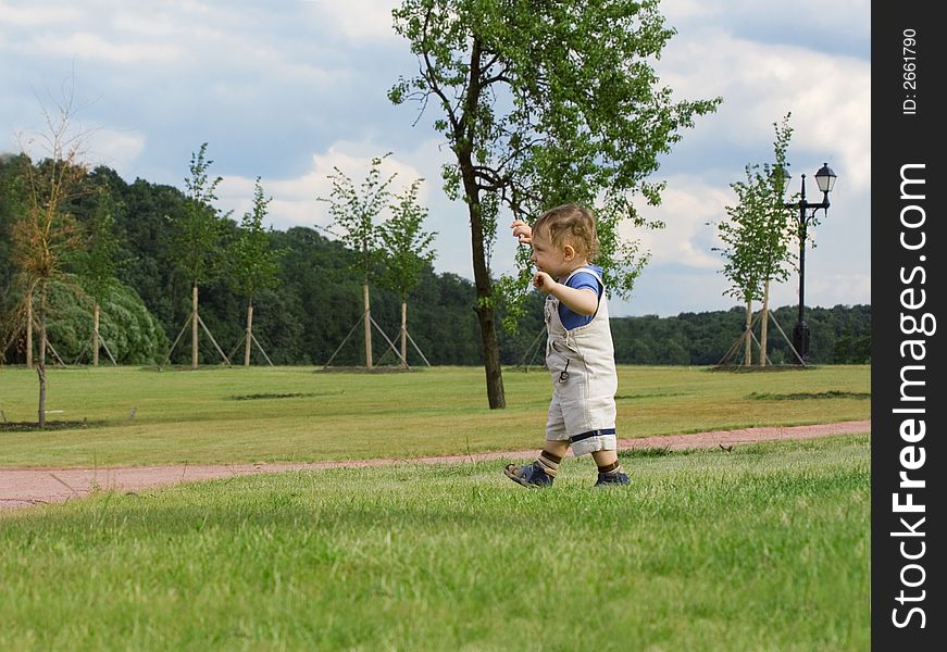 The boy goes on a grass. The boy goes on a grass