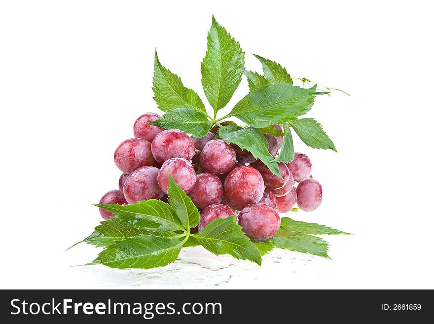 Cluster of ripe juicy red grapes with large berries on a white background. Cluster of ripe juicy red grapes with large berries on a white background