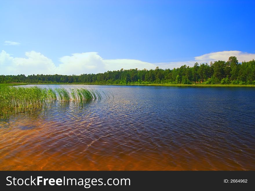 Picture of a Beautiful sunny day