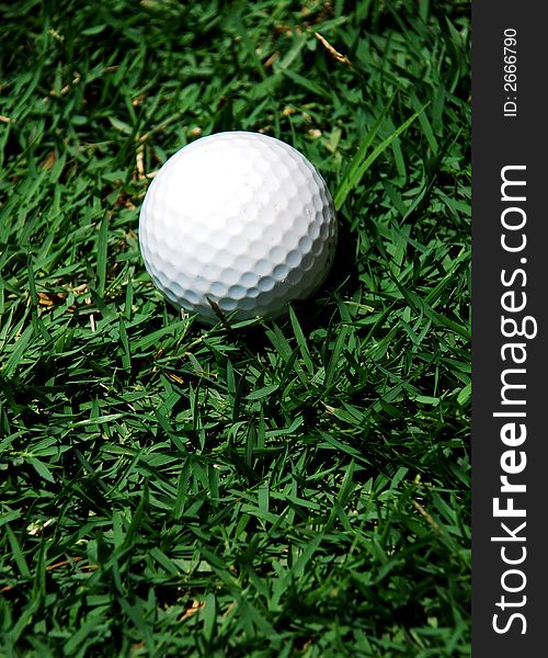White golf ball image on the green grass background