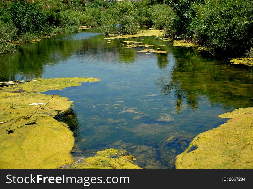 Scene of a river with reflection of trees on water. Scene of a river with reflection of trees on water