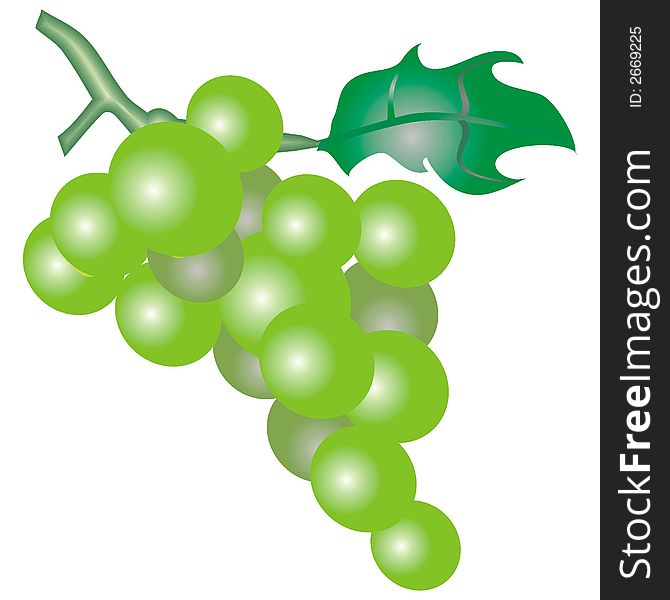 Art illustration of a green grapes