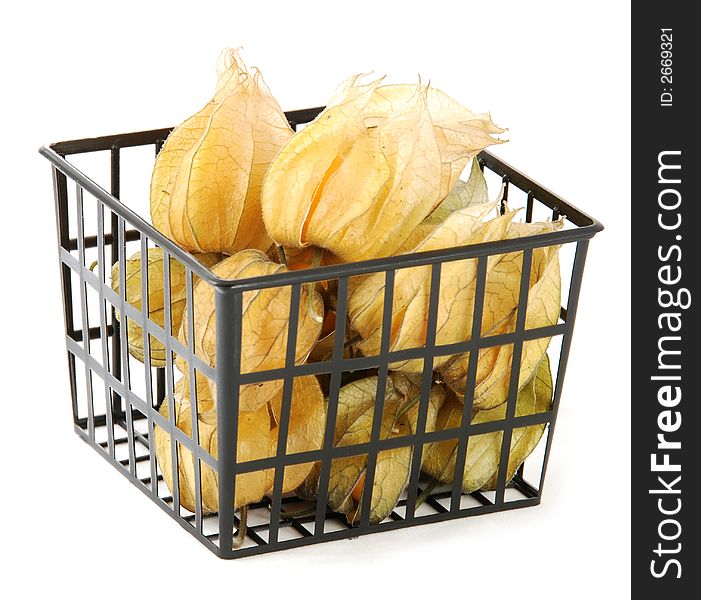 Physalis in a box on white background