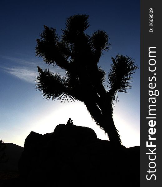 A person sits on boulders at Joshua Tree National Park to watch the sunset