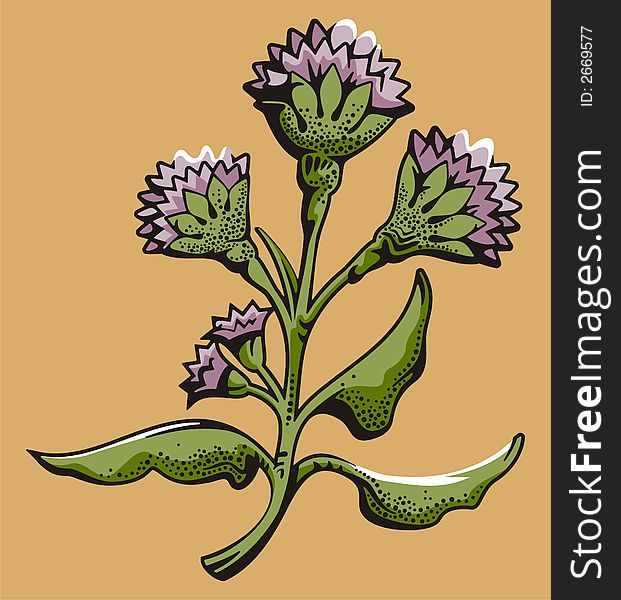 Vector illustration of mauve flowers. Vector illustration of mauve flowers.