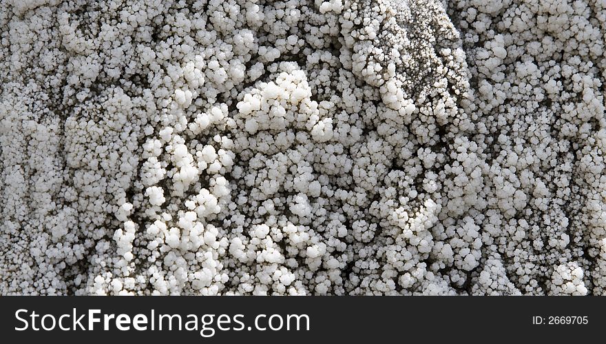 Salt crystallization on ground in Transylvania