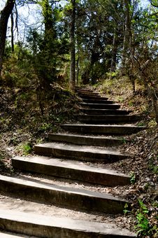 Steps Into The Woods Stock Photography