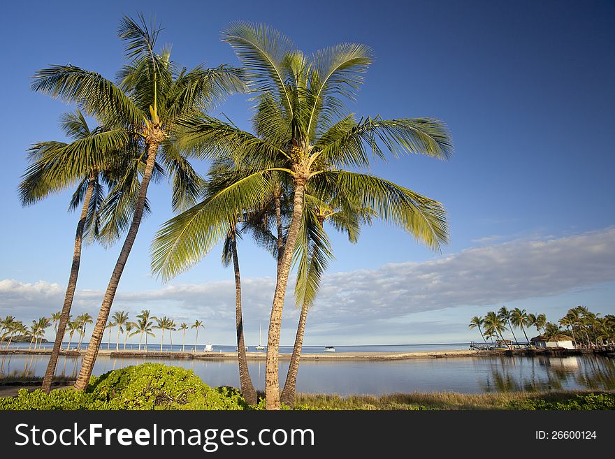 High resolution of Hawaiian tropical beach and lagoon with beautiful palm trees, basking in the morning sun. High resolution of Hawaiian tropical beach and lagoon with beautiful palm trees, basking in the morning sun