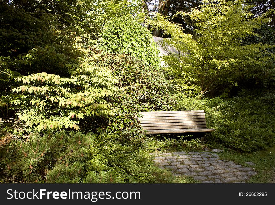 A chair to relax in the back yard with lush greenery.