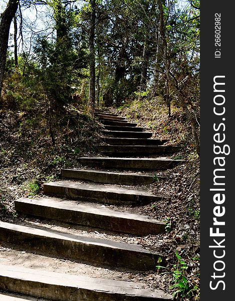 Steps leading into the woods. Steps leading into the woods