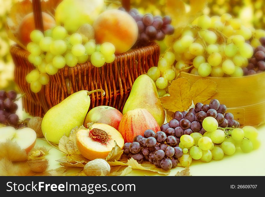 Autumn is rich with diverse and tasty fruit. Autumn is rich with diverse and tasty fruit