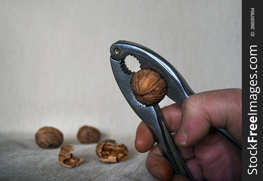 Hard nut. Hand cracking walnuts with tool.