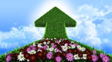Arrow From Grass Way Royalty Free Stock Images Arrow From Grass Way Royalty Free Stock Images