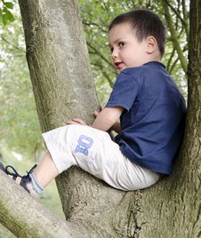Child On Tree Royalty Free Stock Photography