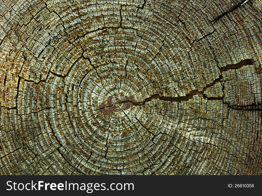 Abstract crack wood ancient Markings on the stump.