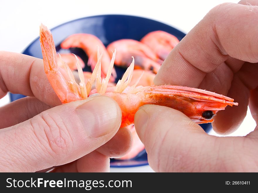 Eating cooked shrimps with fingers. Eating cooked shrimps with fingers