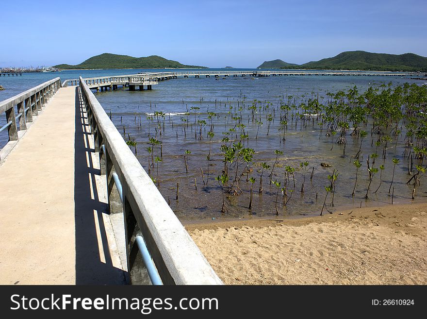 Bridge view Samaesan creates a bridge for people to walk the sea. Bridge view Samaesan creates a bridge for people to walk the sea.