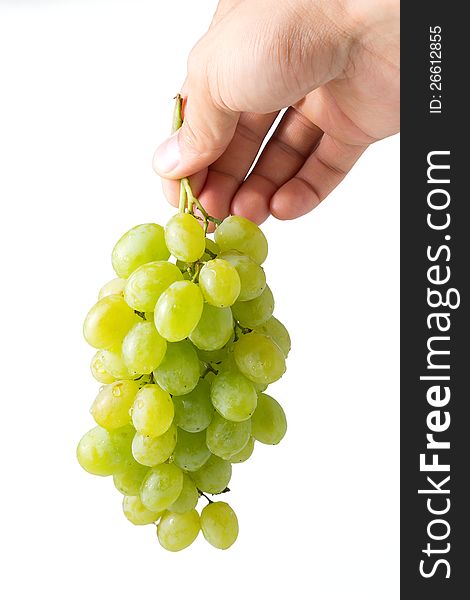 Bunch of ripe grapes in woman's hand isolated on white background. Bunch of ripe grapes in woman's hand isolated on white background