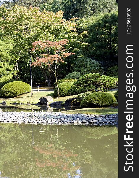 A picturesque Japanese garden with pond in summer time in Seattle.