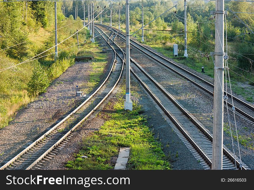 Railroad Tracks In Forest Horizontal View