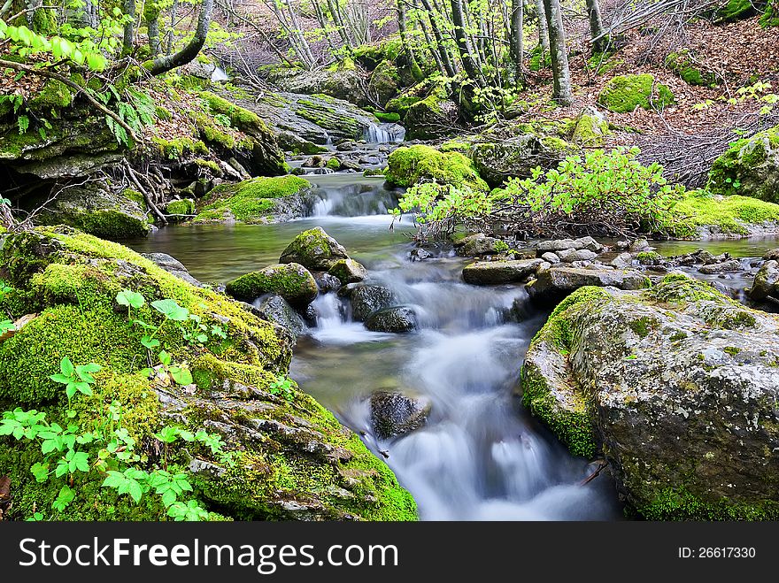 Stream with uncontaminated water in the park