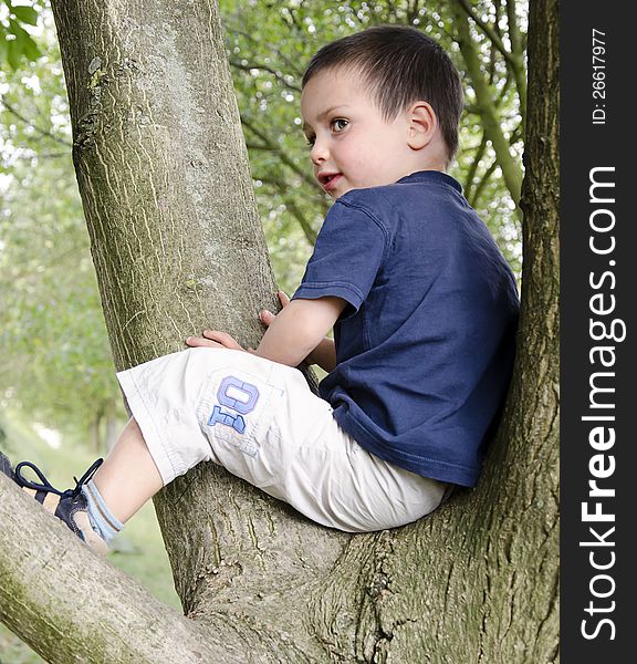 Child on tree