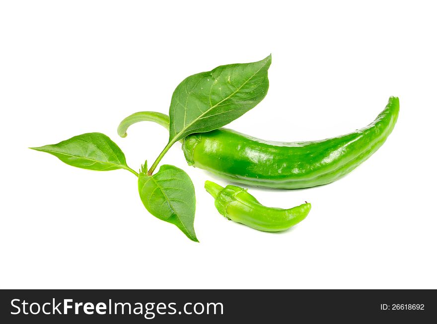 Two hot chili peppers with green leaves on white background