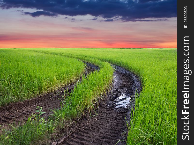 Traces of the wheel in the rice harvest with cloudy sky as a backdrop. Traces of the wheel in the rice harvest with cloudy sky as a backdrop.